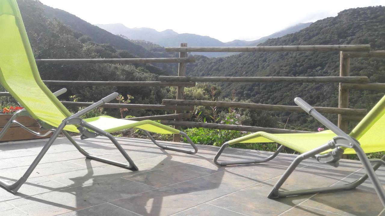 Appartement Giannoni San-Martino-di-Lota エクステリア 写真