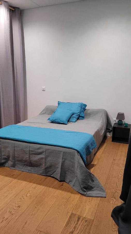 Appartement Giannoni San-Martino-di-Lota エクステリア 写真
