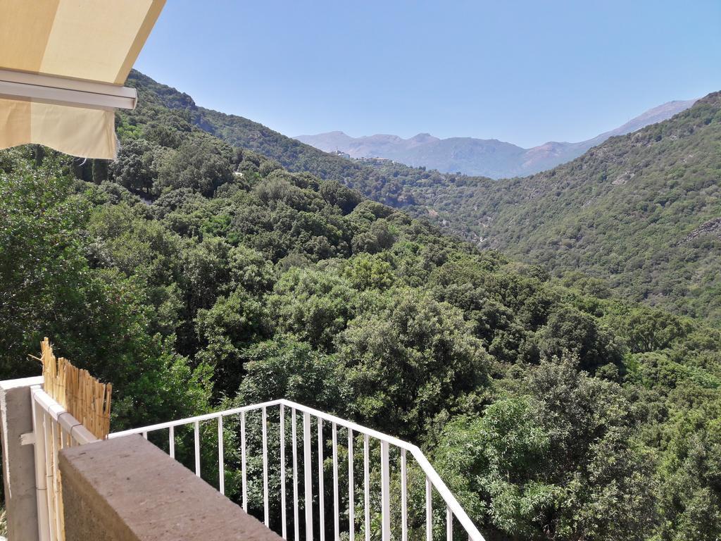 Appartement Giannoni San-Martino-di-Lota エクステリア 写真